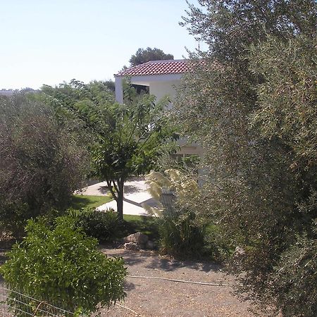 Nephele Apartments Faliraki Luaran gambar