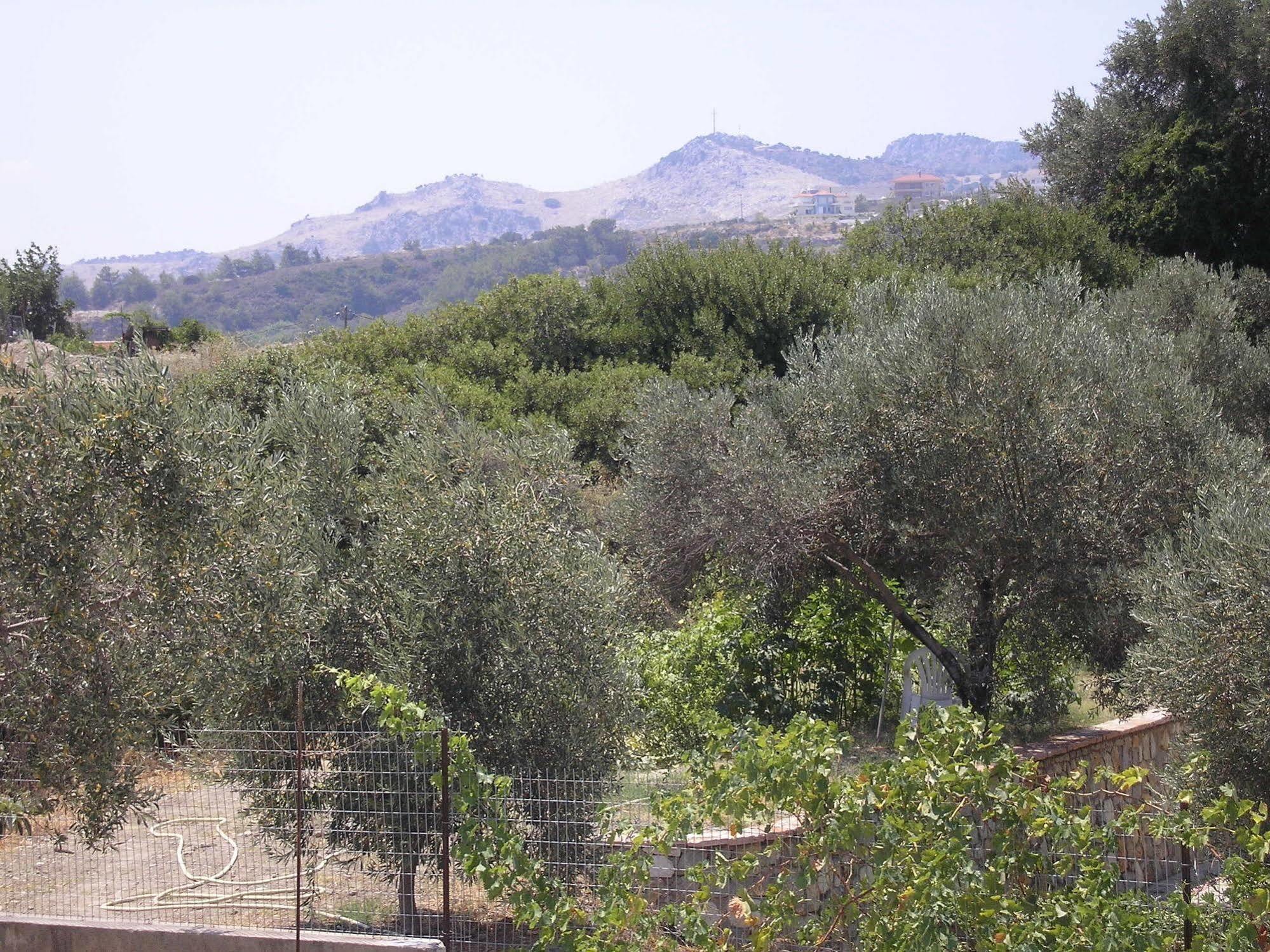 Nephele Apartments Faliraki Luaran gambar